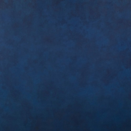 Savage Savage Midnight Canvas Backdrop