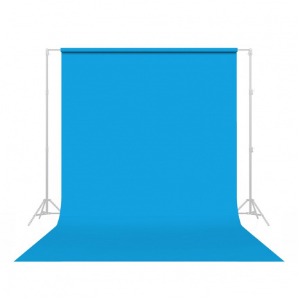 Savage Blue Jay Seamless Background Paper (107"" W)