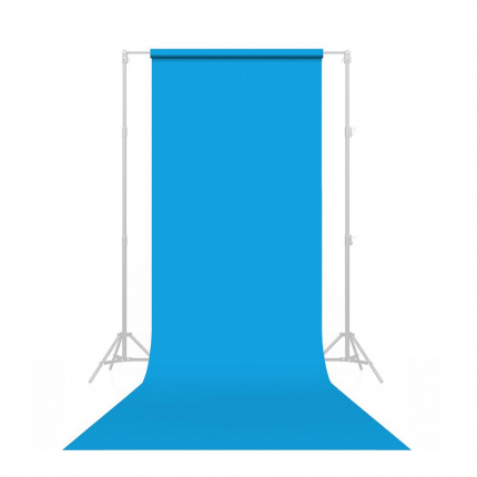 Savage Blue Jay Seamless Background Paper (53"" W)