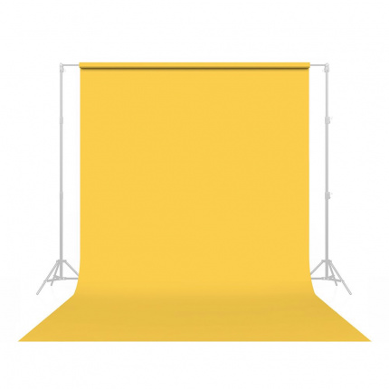 Savage Sand Seamless Background Paper (107"" W)